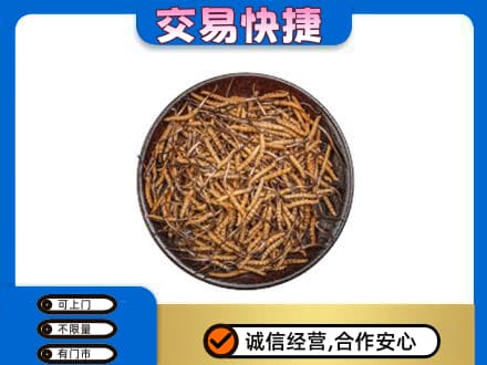 安居区礼品回收虫草.jpg